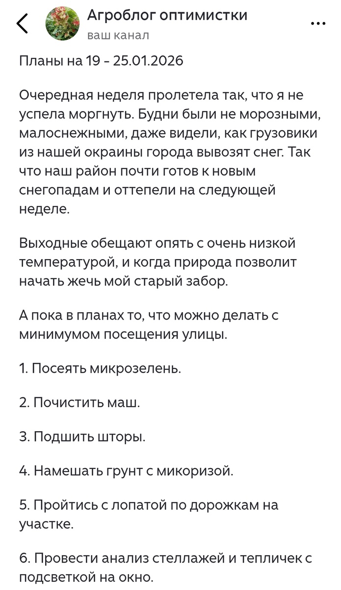 Обещанной оттепели не было, вместо плюс 1 было минус 7, вместо снега с дождем - метель.
