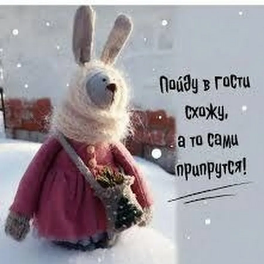 фото из соцсетей