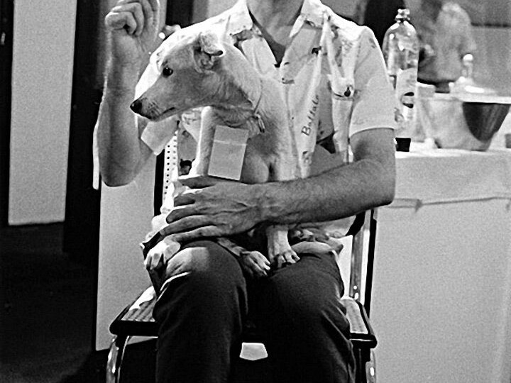 Часы Фредди Меркьюри: Отражение эпохи и личности