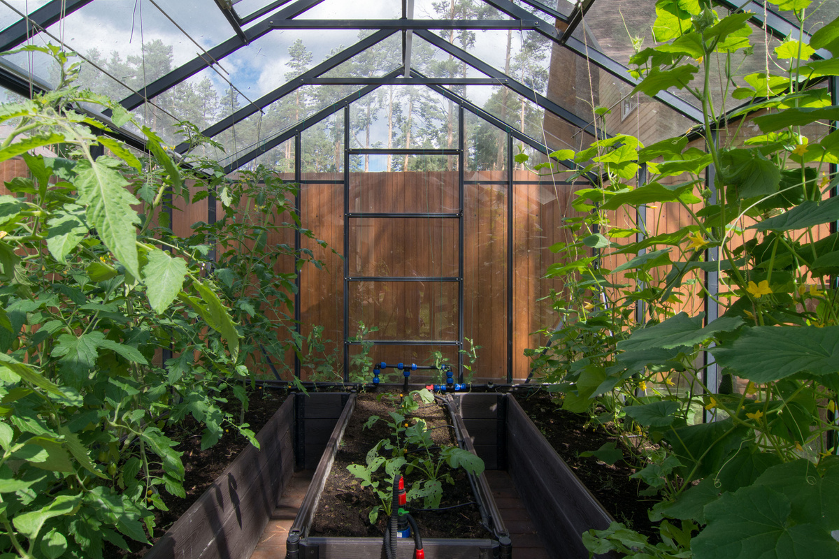 Теплица Гарденикс 3с