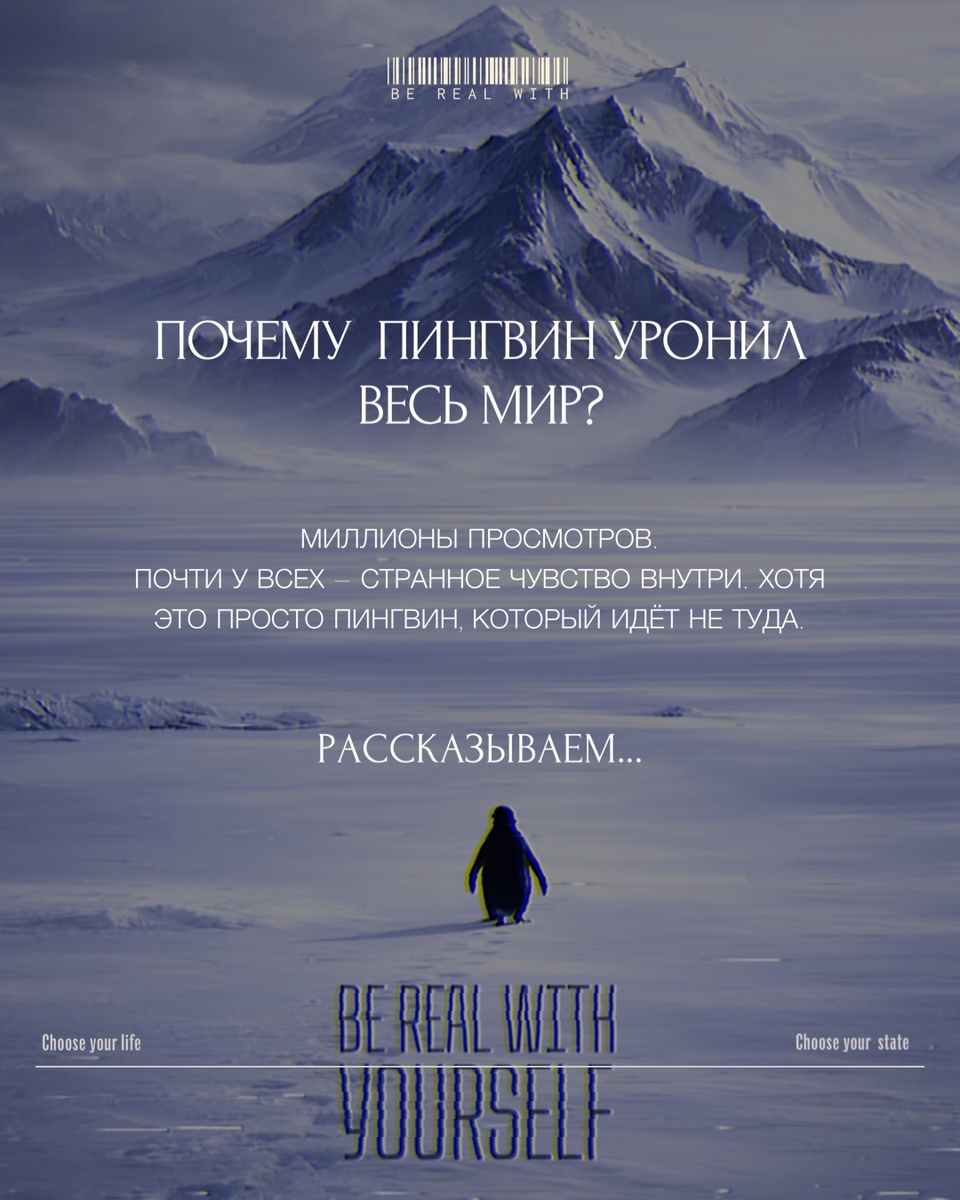 Вирусный ролик с пингвином, который уходит от стаи, зацепил миллионы людей по всему миру. Почему мы так остро реагируем на это видео, что означает этот выход из системы и как деперсонализация и дереализация связаны с нашим состоянием сегодня — разбираем на пальцах.