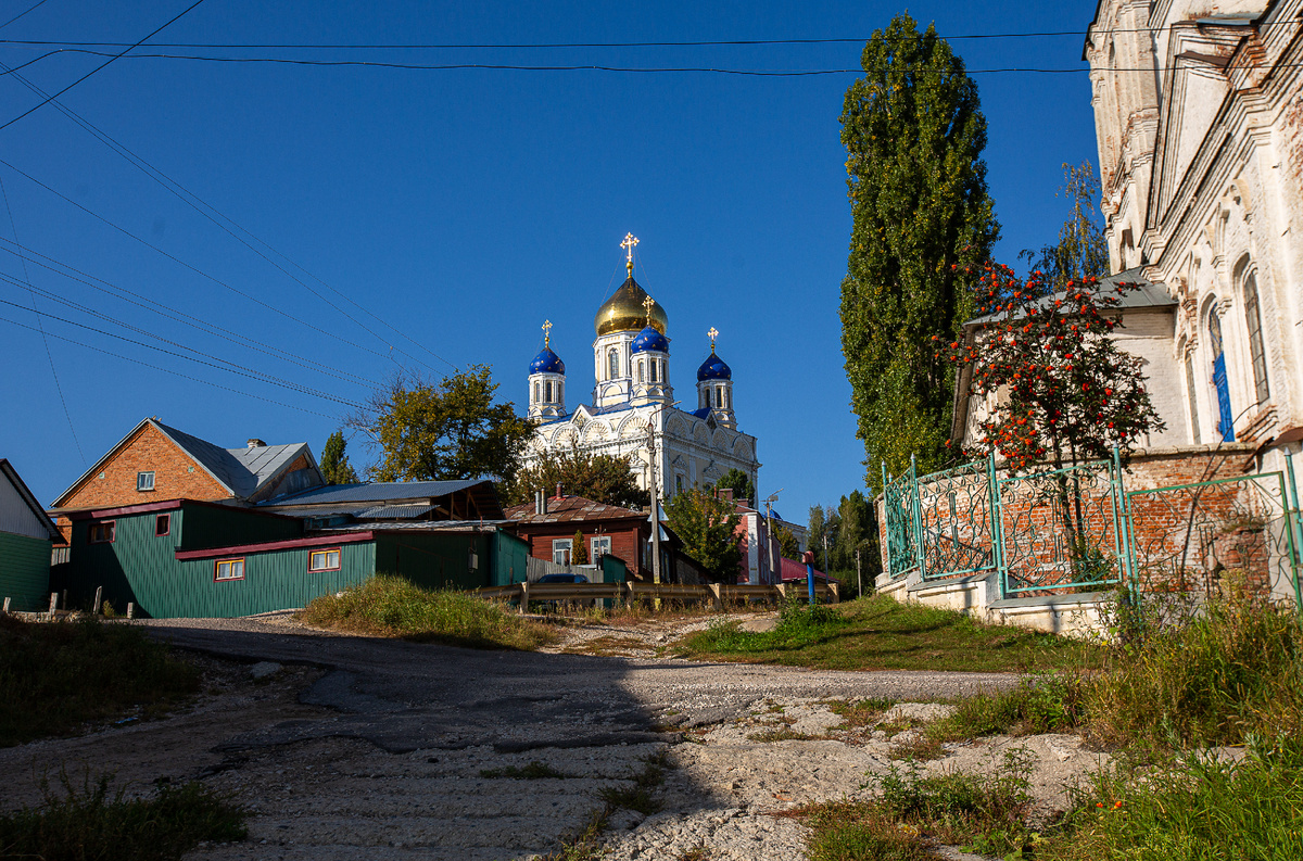 Вид на Вознесенский собор. Елец, Липецкая область. Фото автора статьи   
