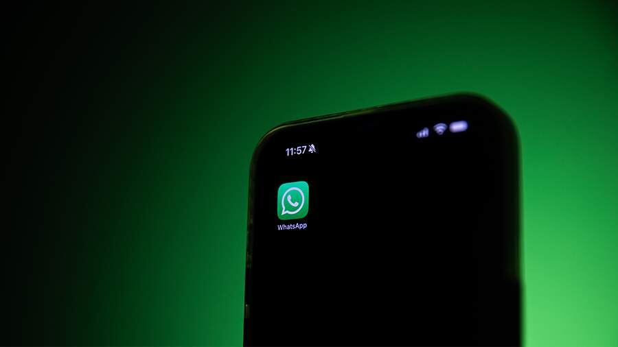    Фото: ИЗВЕСТИЯ/Юлия Храмцова