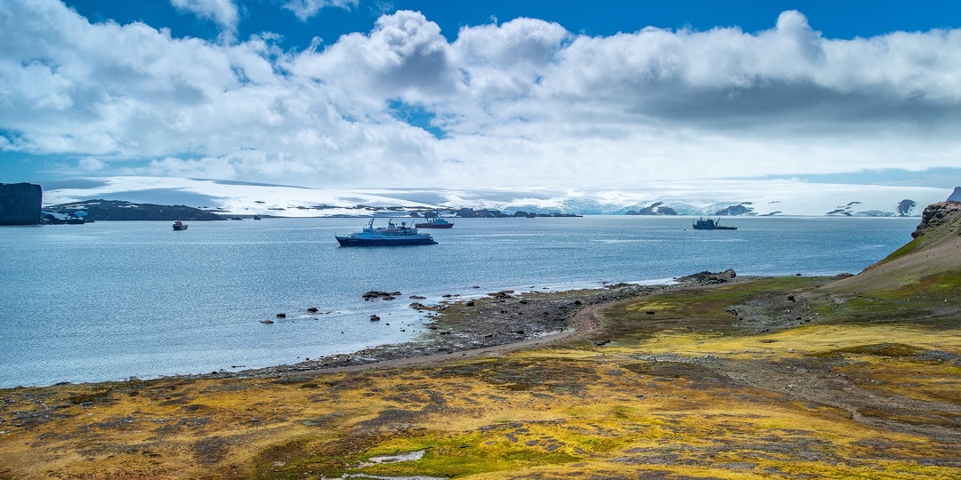 Чёрные саркофаги в Антарктиде: сенсация или миф?
