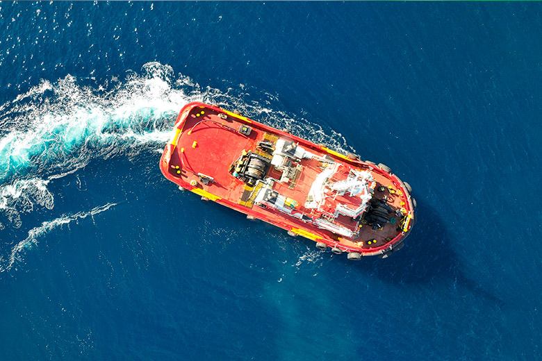    Shutterstock/FOTODOM