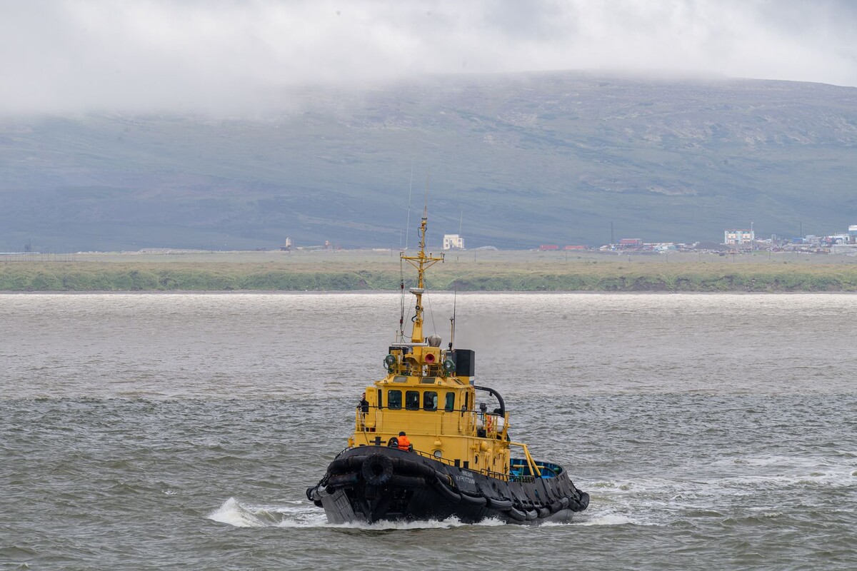     / Источник: © Global Look Press