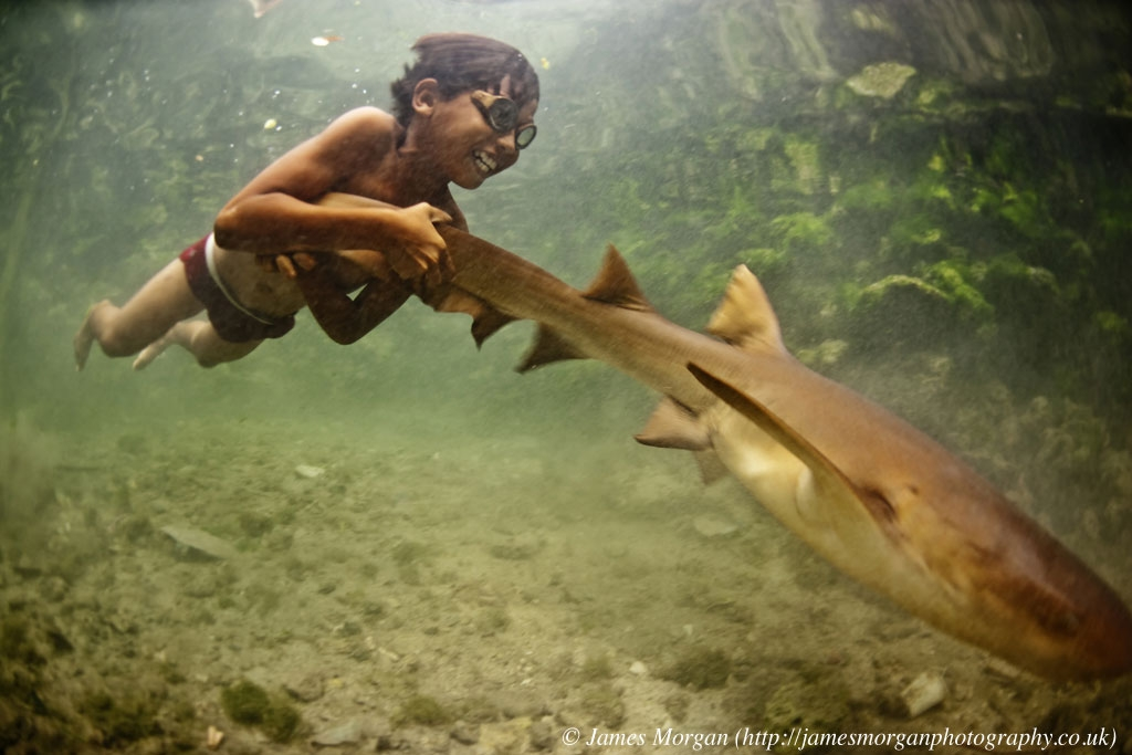 Картинка из интернета