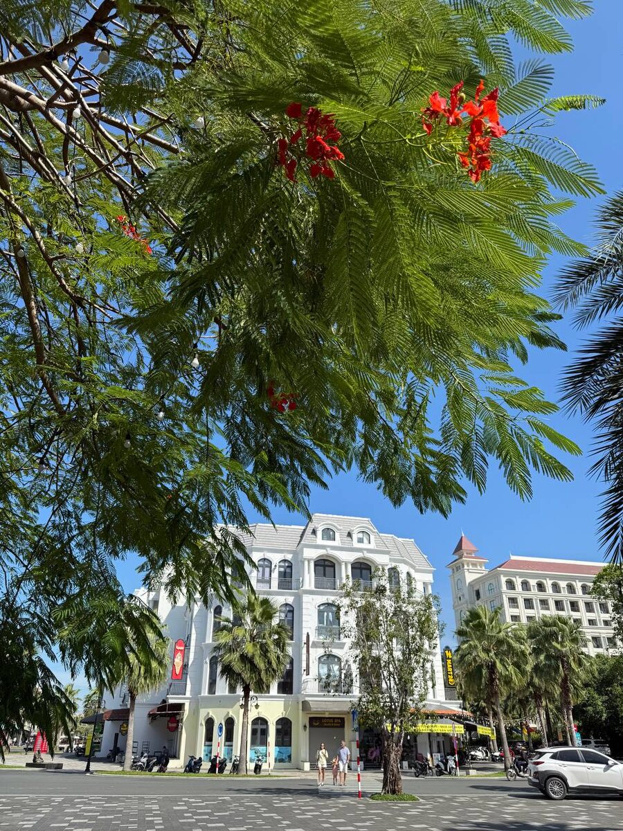 Архитектура.