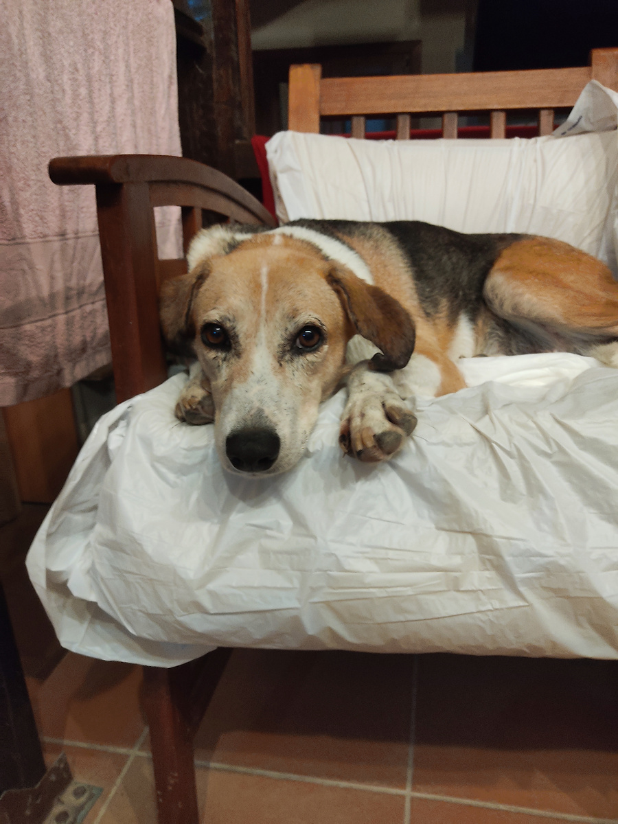 А вдруг всё не так как кажется?