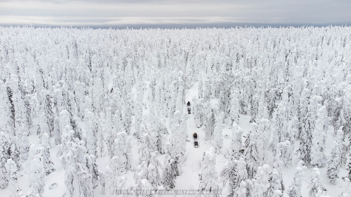Самая красивая зима, которую я когда-либо видел. Фото: Голландец в России