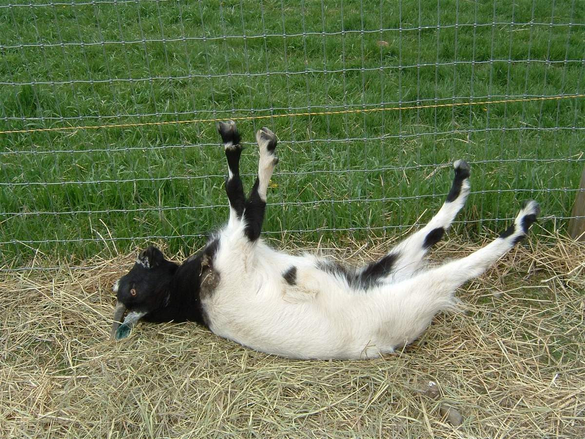 ������, �� � ������, � � ������, ������� �� ����, �?