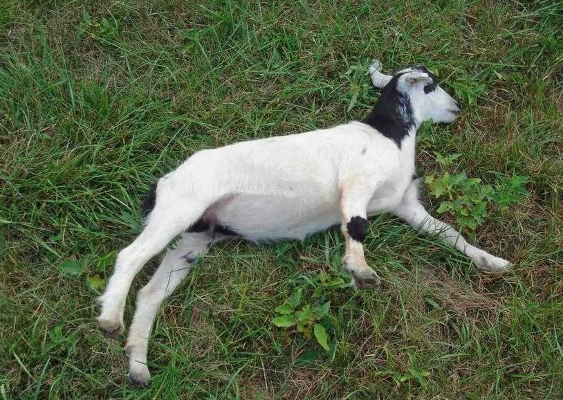 Устал, надо полежать. 