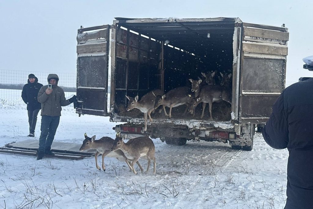    Фото: правительство РО. Газета "Земля"
