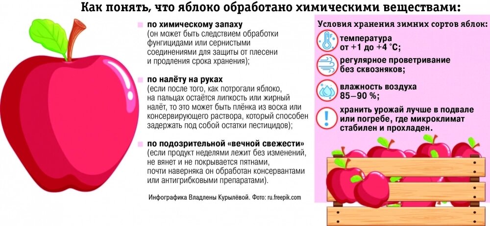    Фото: АиФ/ Владлена Курылева