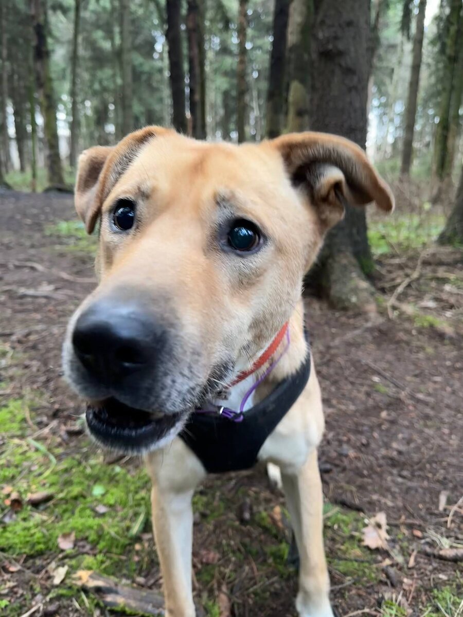 Ого, какая завязочка! Рассказывайте!