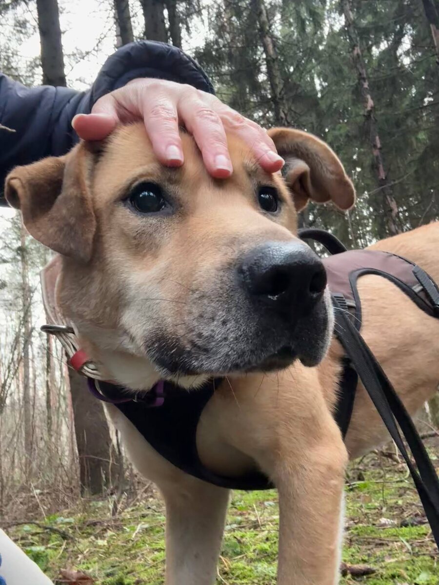 Вы что, ясновидящие?