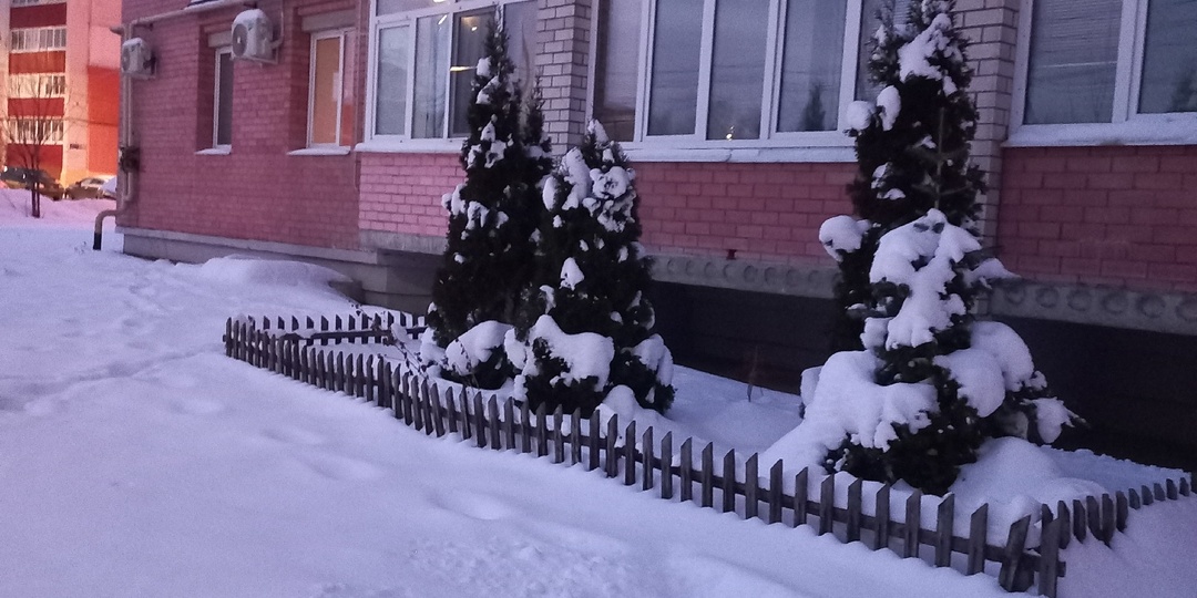 26.01.2026. Про еду и дисциплину и бесконечные попытки похудения