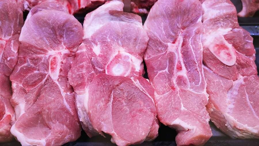    Фото: ИЗВЕСТИЯ/Эдуард Корниенко