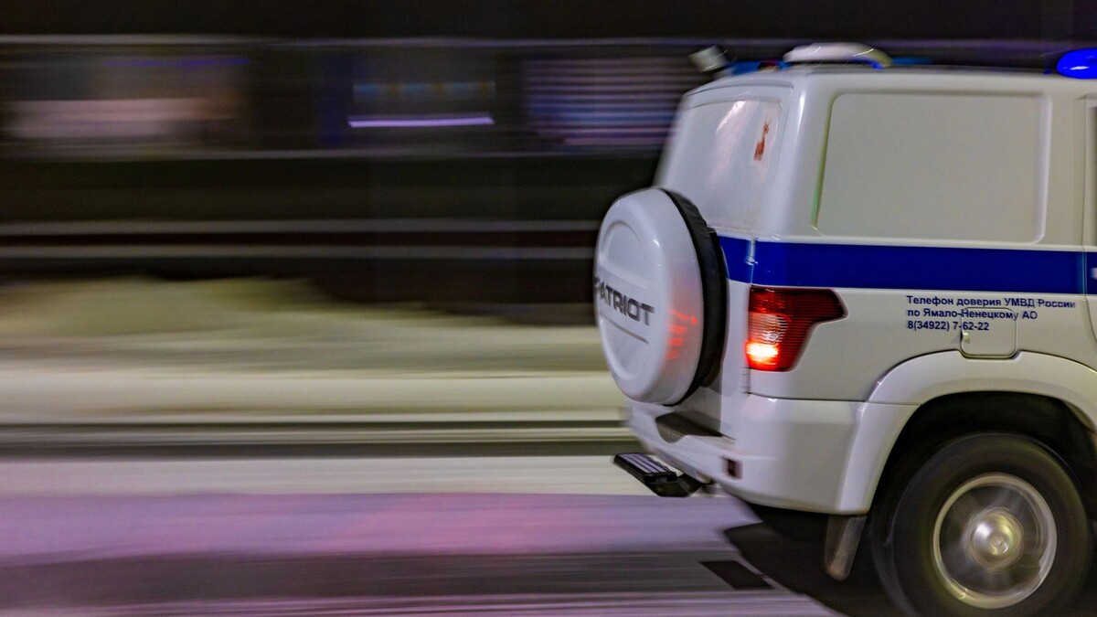    Фото: Федор Воронов / «Ямал-Медиа»