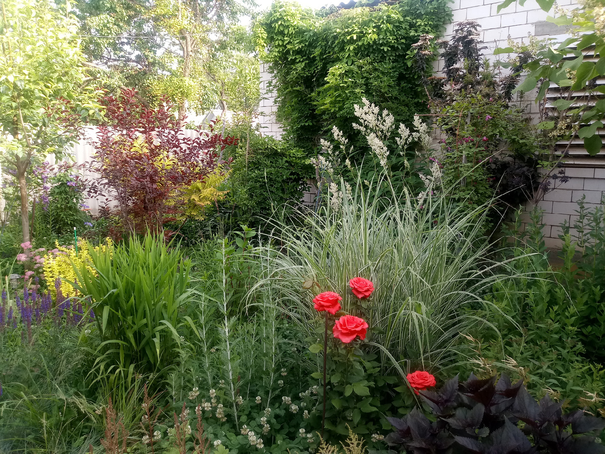 1. Сад Анны Иволги в Астраханской области