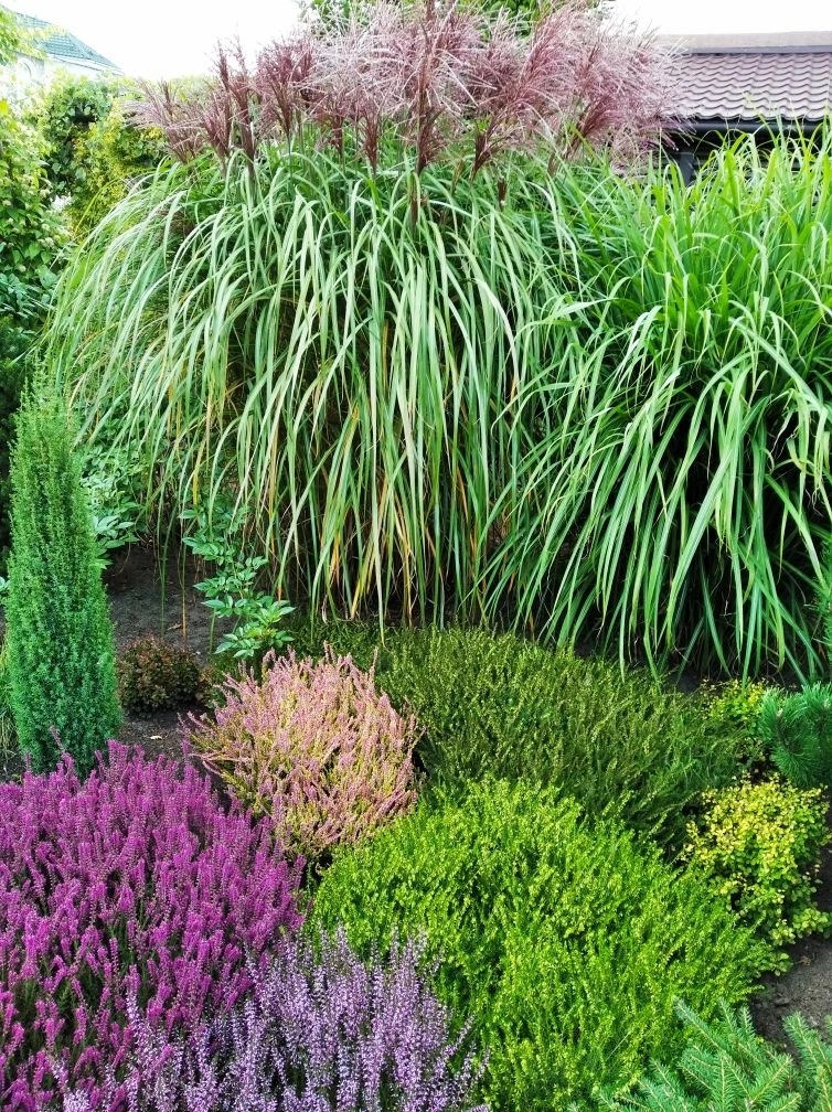 2. Сад Татьяны Фрост в Подмосковье. 2 фото, листайте