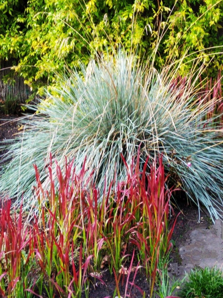 3. Сад Татьяны Фрост в Подмосковье