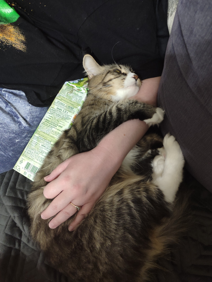 Буся на фото 