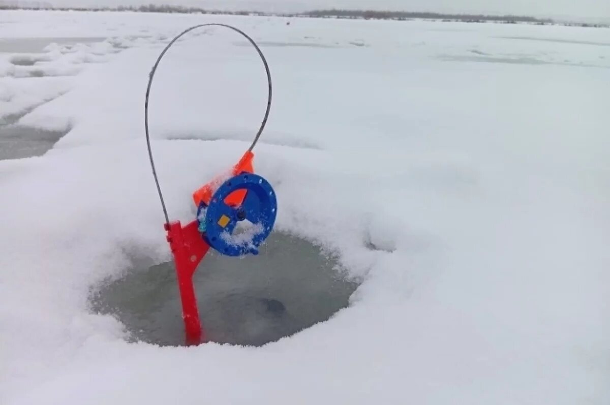    Учёные рассказали причины сокращения запасов корюшки и наваги