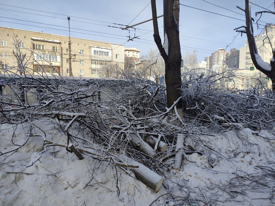    . Виктория СУХОВА