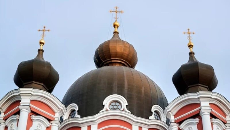      Фото: @frimufilms / ru.freepik.com