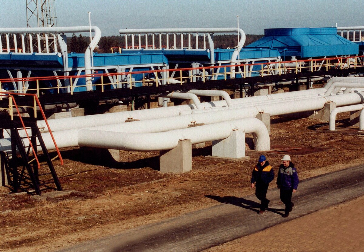     / Источник: © Global Look Press