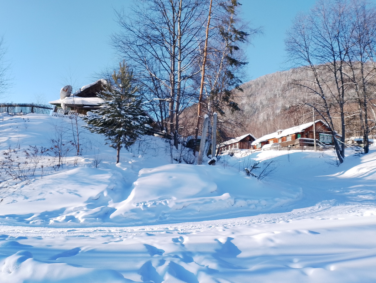 Фото 📷 автора. п. Витимский Мамско-Чуйский район.