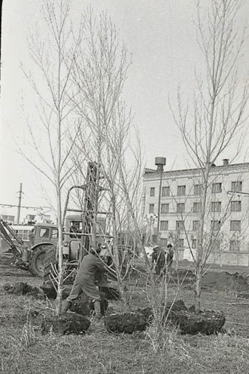    Разбивка парка у Алтайского моторного завода, г. Барнаул.. Источник: goskatalog.ru, архив АГКМ, Малышев В.С.