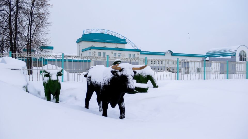   Проспект Космонавтов. Источник: Виталий Барабаш/"Толк"
