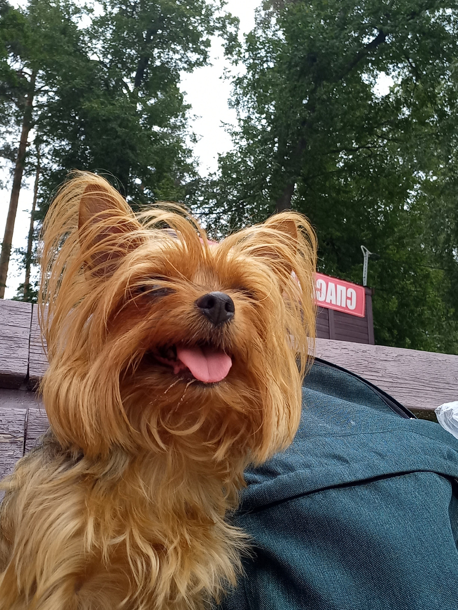 Айке важен дух свободы