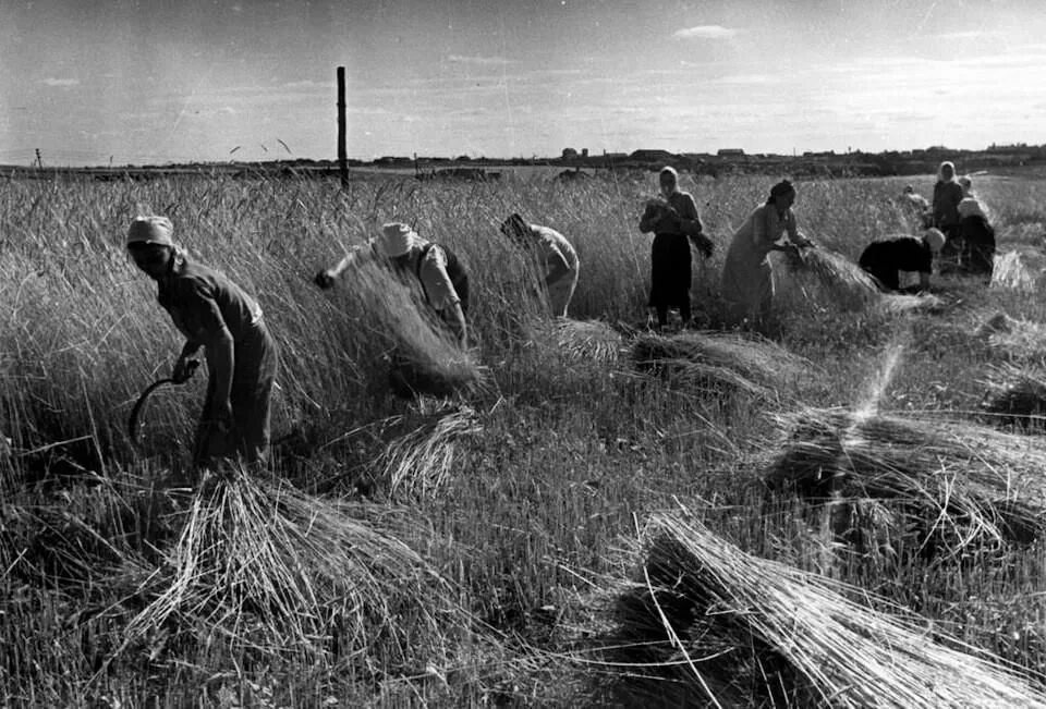 Взято из открытых источников интернета Яндекс.