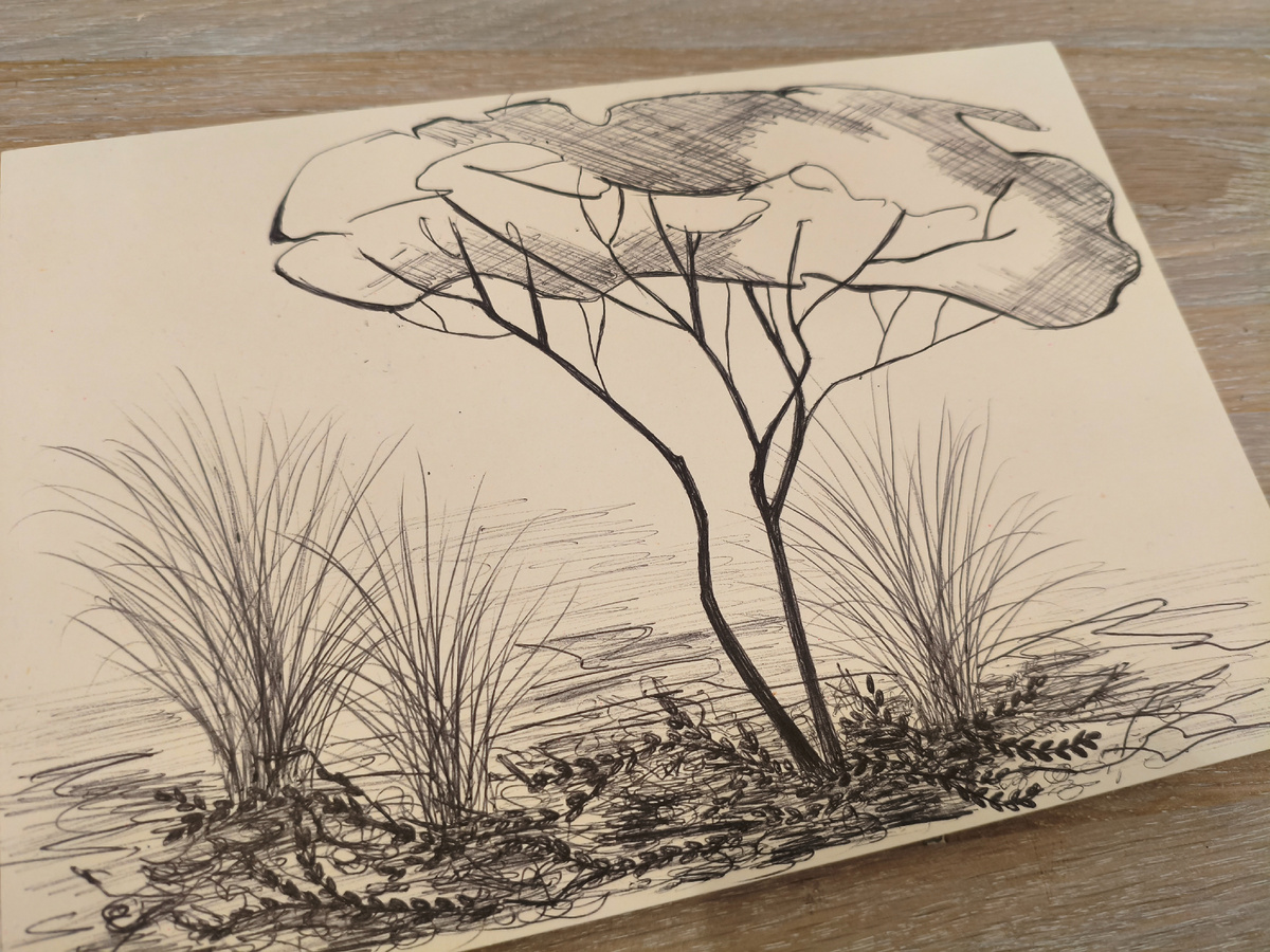 Развлекаюсь рисованием.