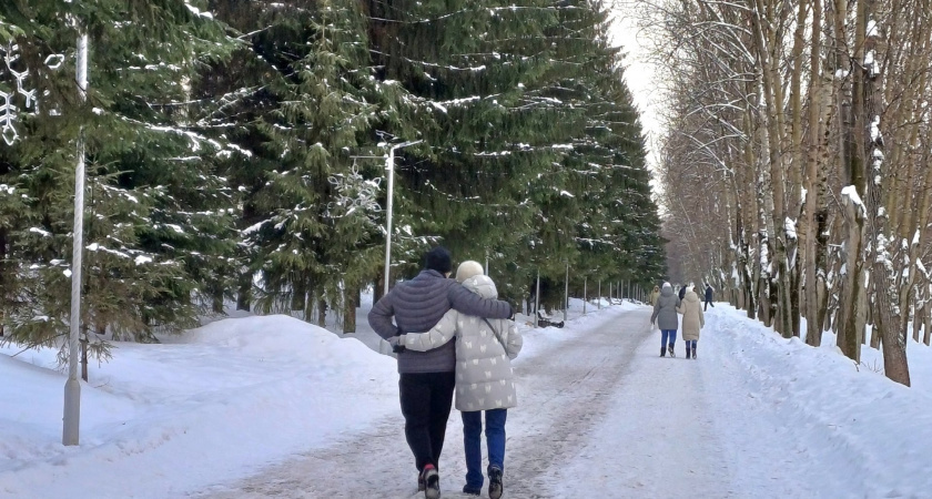    Фото progorod43.ru