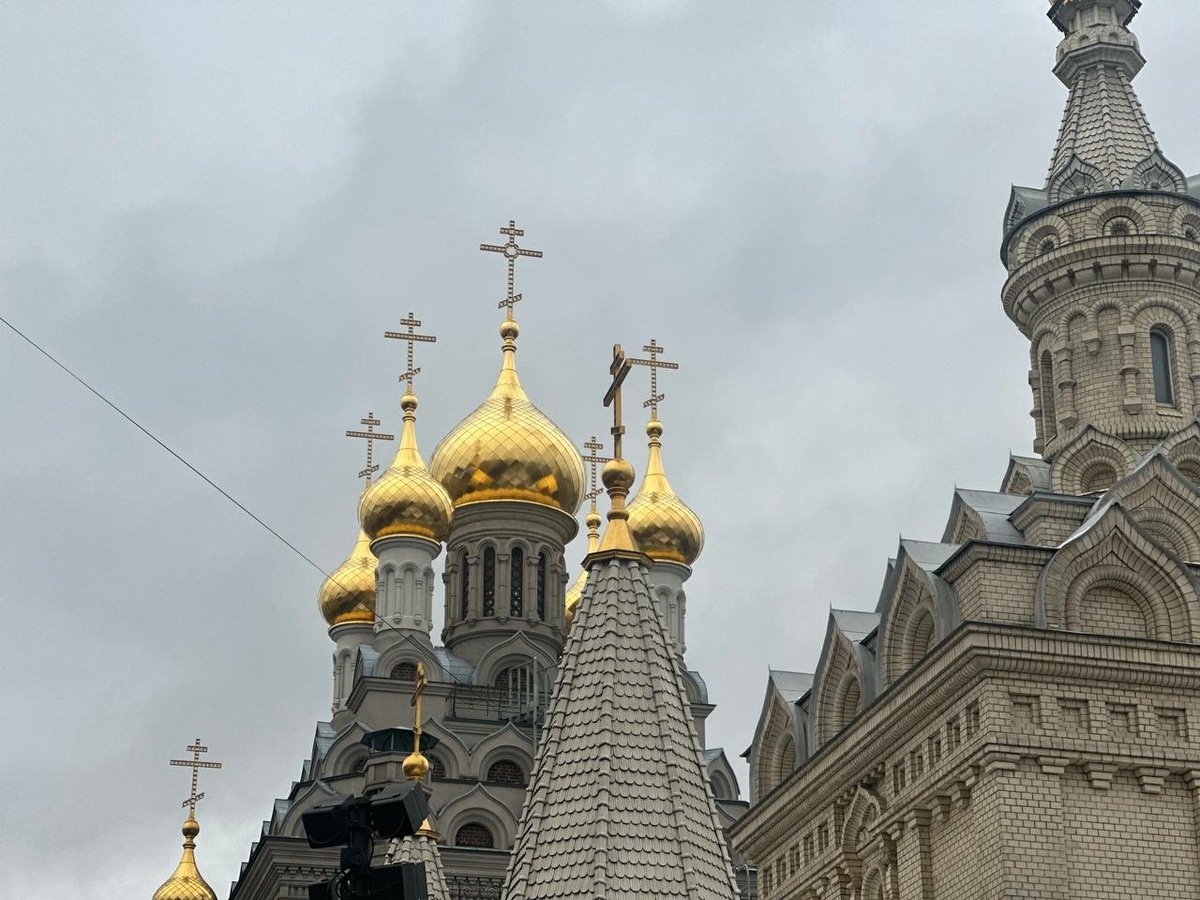     Фото: "Бриф24"