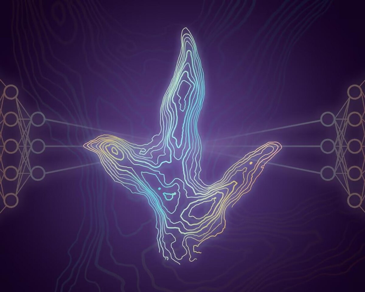 Система искусственного интеллекта приложения была обучена на 2000 силуэтах следов без маркировки, фото:Nicola Davis / The Guardian