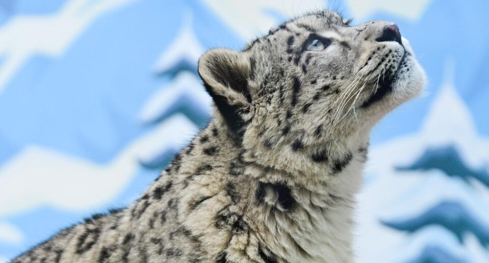    Qi Zhiyue/XinHua / www.globallookpress.com