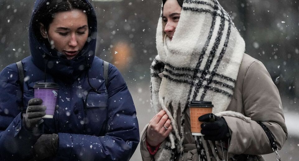    Снегопад в Москве / Медиасток.рф
