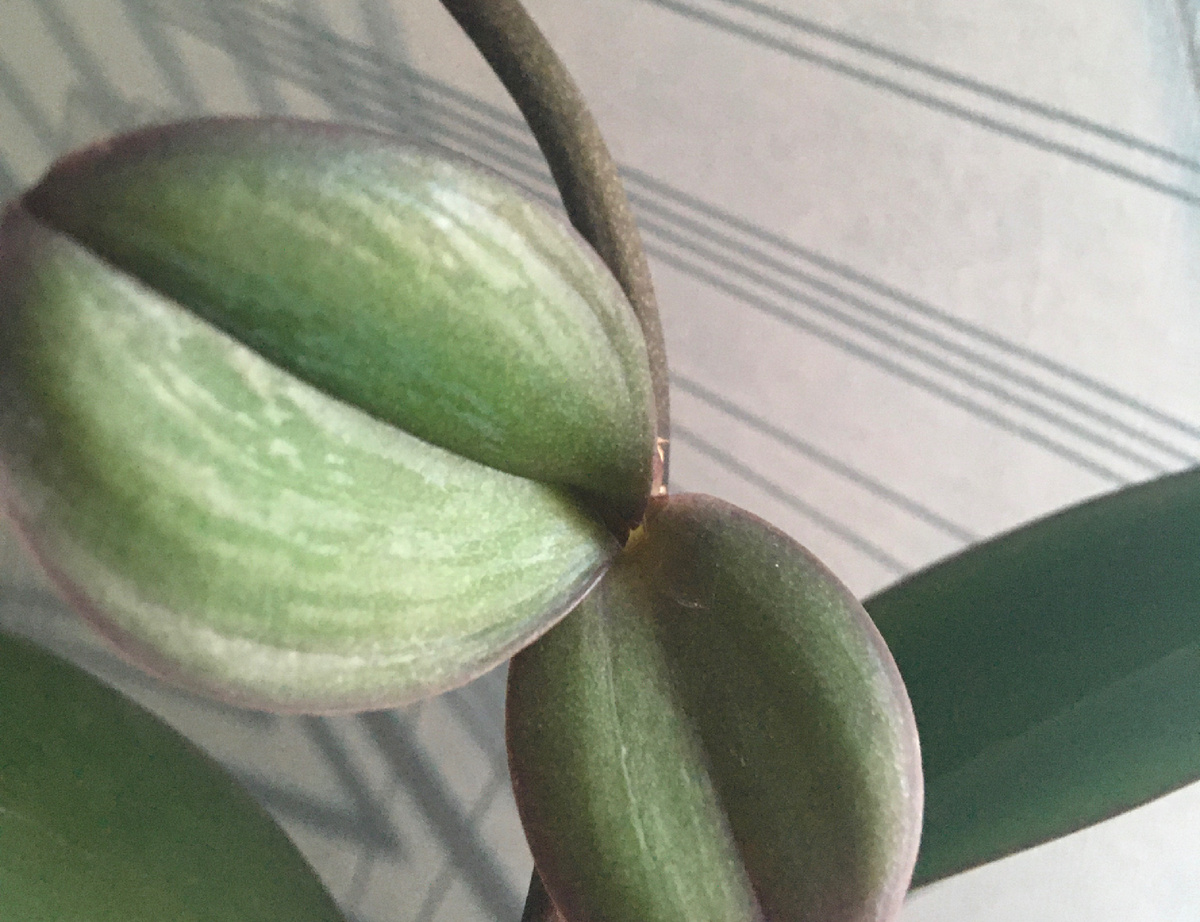 Постоянно отсаживаю деток