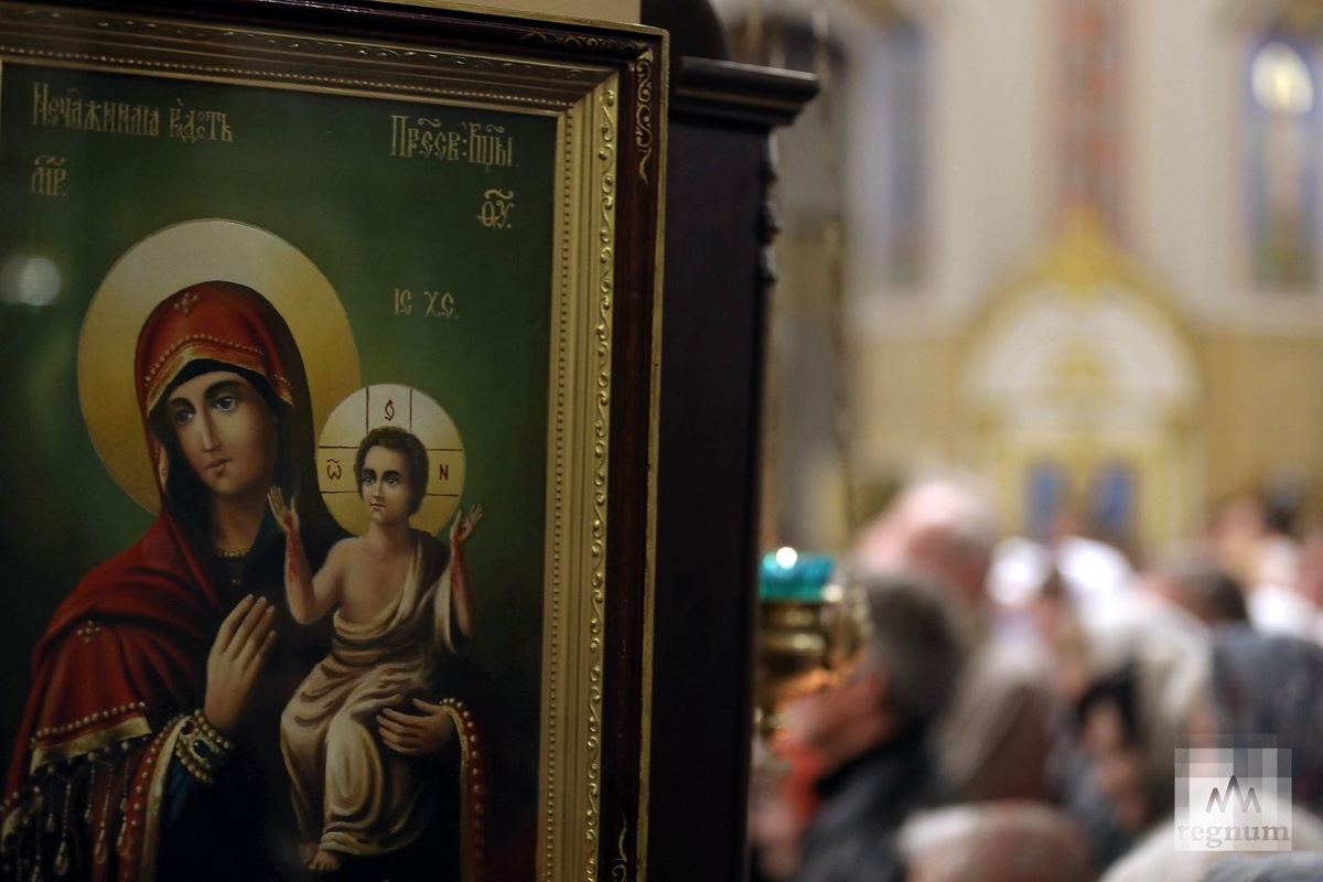     / Источник: Дарья Драй © ИА REGNUM