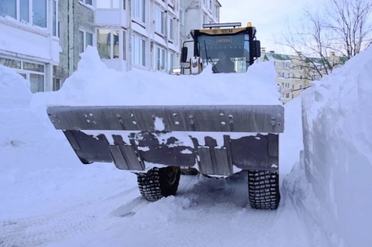    Солодов: в Петропавловске-Камчатском расчищено только 40% дворов