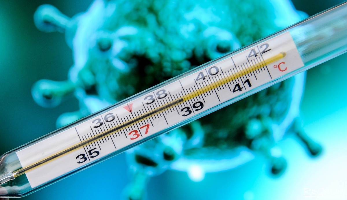     / Источник: Дарья Антонова © ИА REGNUM