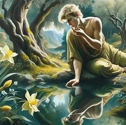 "Нарцисс" Фото из яндекс-картинок.