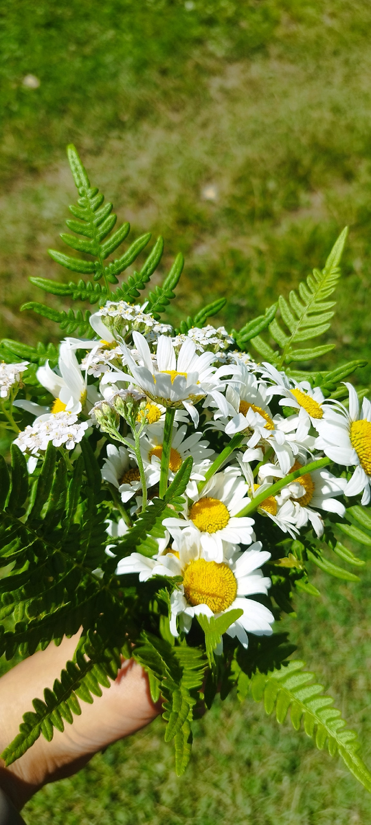 Лесной букет