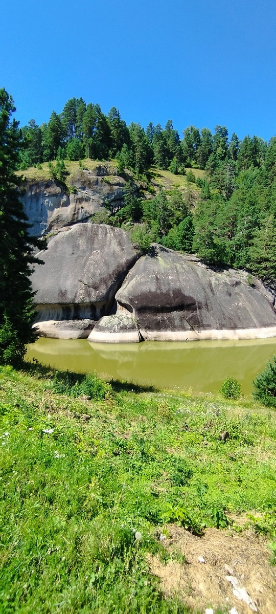 "Кит" Турочак