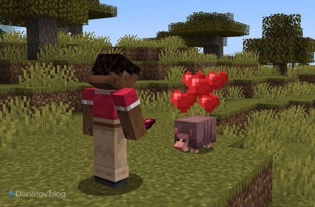    Сердечки над броненосцем